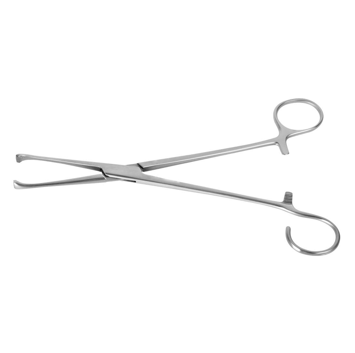 Seizing & Snares Forceps