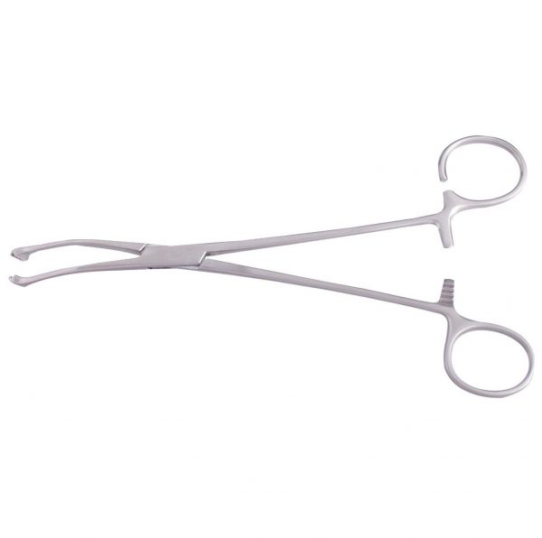 Seizing & Snares Forceps