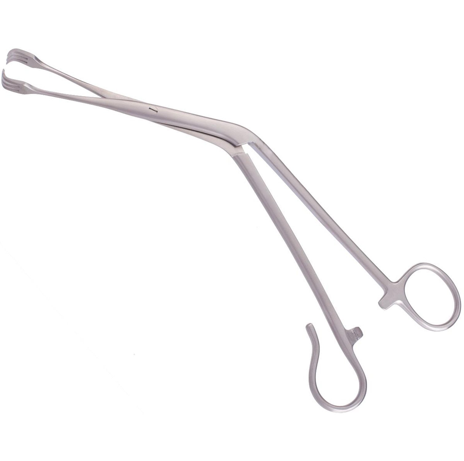 Seizing & Snares Forceps