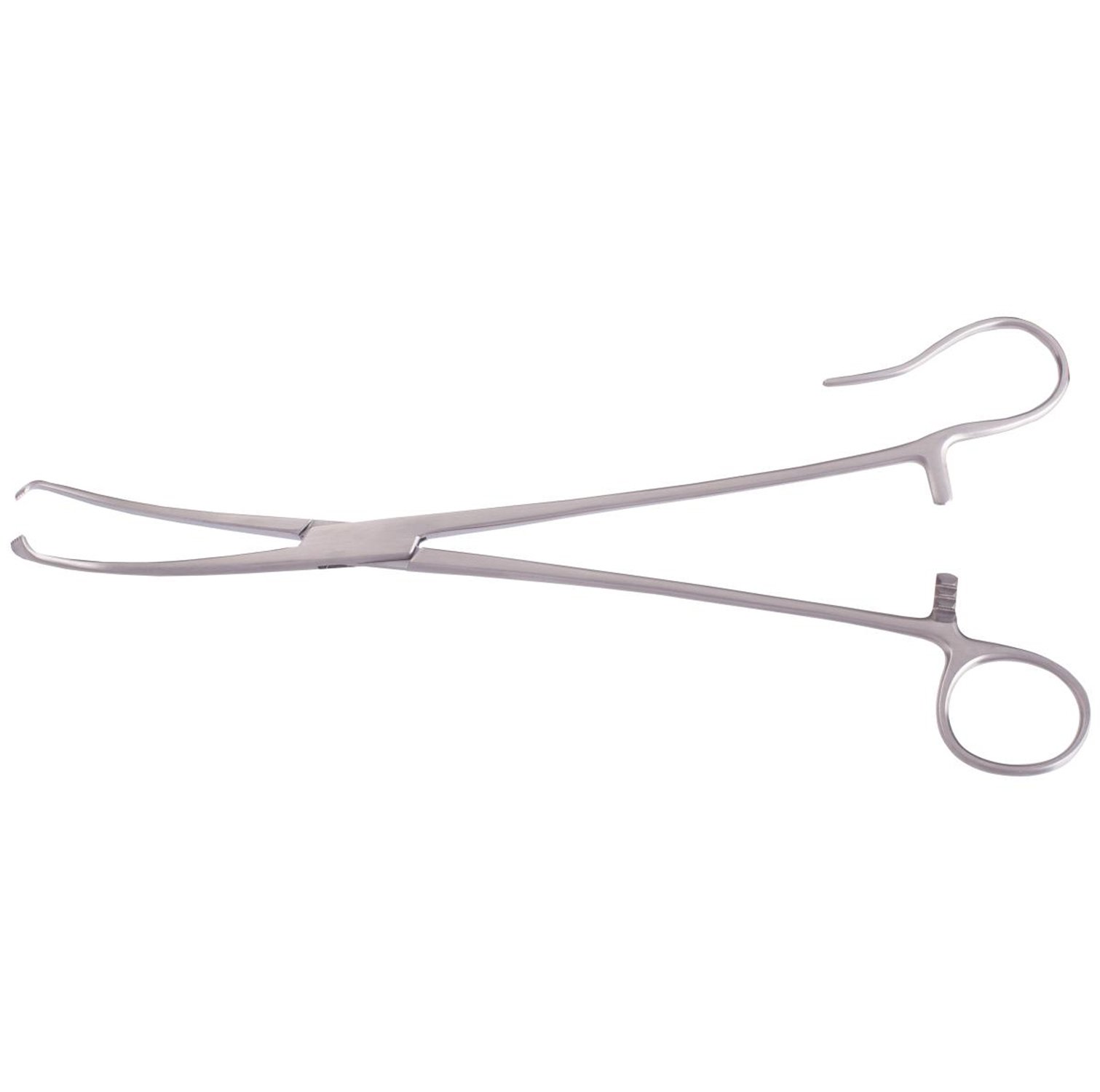 Seizing & Snares Forceps