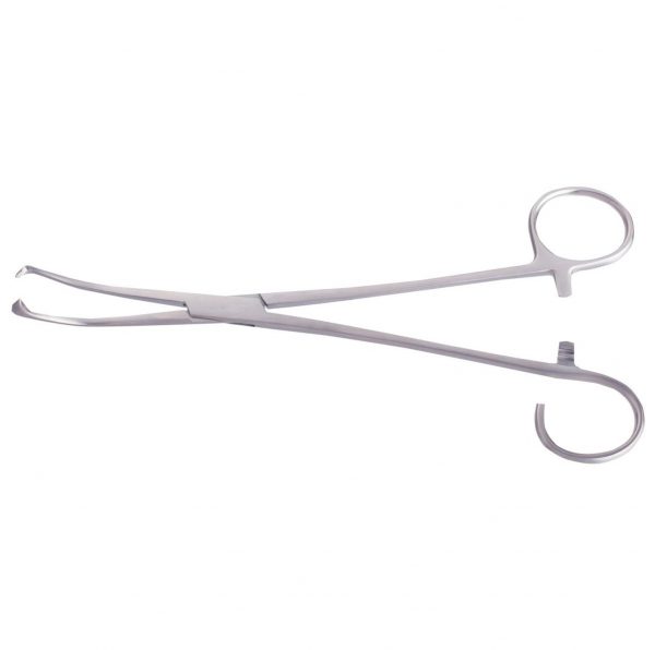 Seizing & Snares Forceps