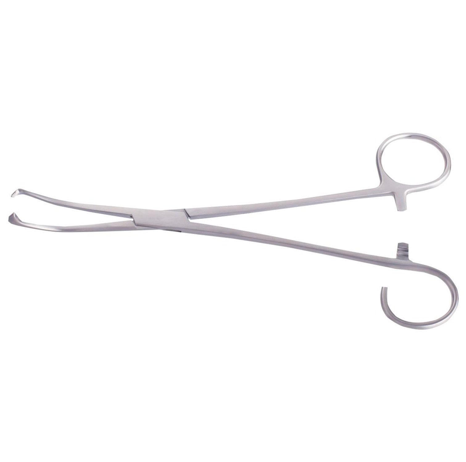 Seizing & Snares Forceps